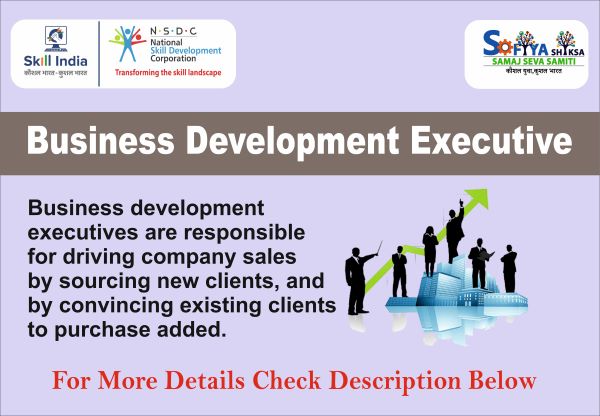 Business Development Executive