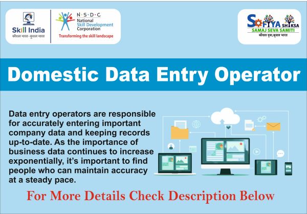 Domestic Data Entry Operator