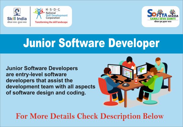 Junior Software Developer